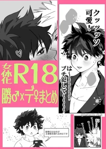 [Haru Ichi] KatsuDe R18 Matome (Boku no Hero Academia) manga cover