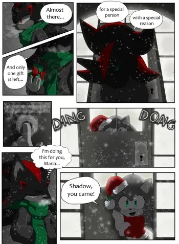 Twelve Pages of Sonadow manga cover