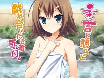 [Brief case] Hideyoshi to Nengoro ni Zareaitaki Mono Senyou. (Baka to Test to Shoukanjuu) manga cover