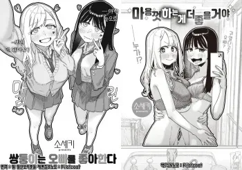 [Souseki] Futago wa Onii-chan ga Osuki & Omoikiri Shita Hou ga Ii wa | 쌍둥이는 오빠를 좋아한다 & 마음껏 하는게 좋을거야 [Korean] [Decensored] [Digital] manga cover