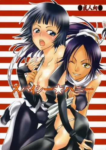 (C70) [Kurione-sha (YU-RI)] Spicy Honey (Bleach) [English] [H4chan] manga cover