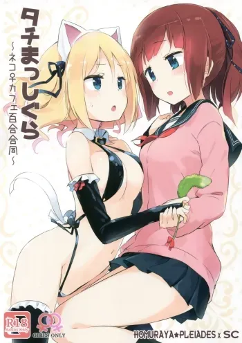 Tachi Masshigura manga cover