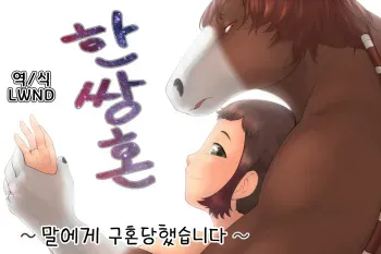 [Amesawa Pane] Tsugai Kon ~Uma ni Kyuukon saremashita~ [Korean] [LWND] manga cover