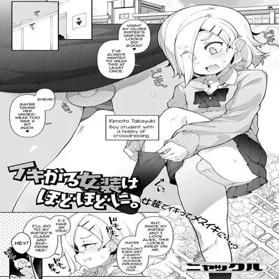 Ikigaru Josou Wa Hodohodo Ni [Yaoi] [Original] manga cover