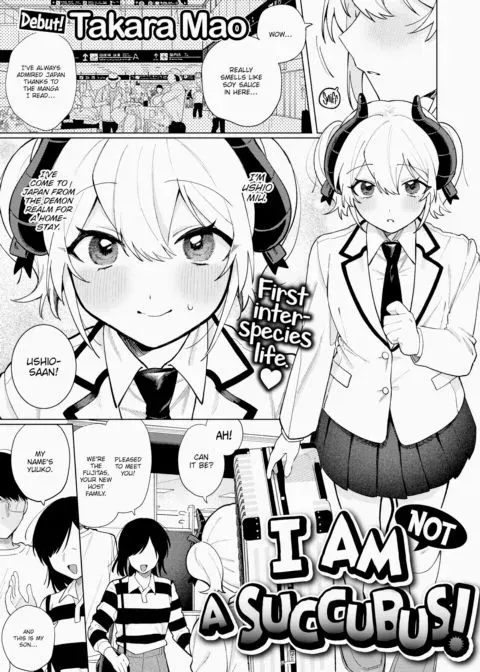 I Am Not a Succubus! manga cover