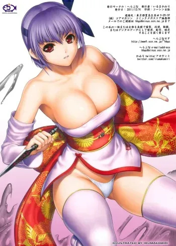 (C81) [Hellabunna (Iruma Kamiri)] H.SAS 04 (Dead or Alive) [Colorized] manga cover