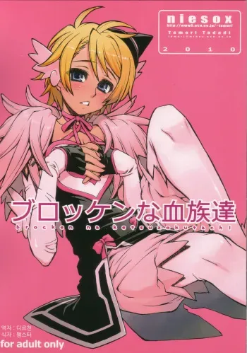 (COMIC1☆4) [niesox (Tamori Tadaji)] Broken na Ketsuzoku-tachi (Brocken Blood) [Korean] manga cover