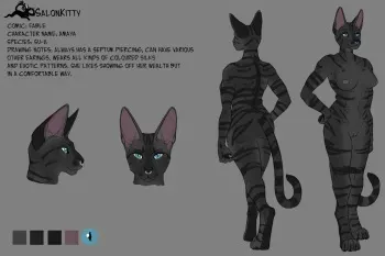 [SalonKitty] High Resolution and Exclusive Artworks manga cover