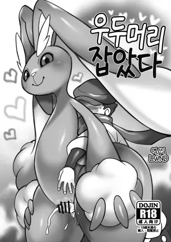 [Mayoineko (Various)] Oyabun Tsukamaeta (Pokémon) [Korean] [LWND] manga cover