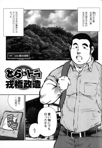 Seizou Ebisubashi - Tiger and Tiger manga cover