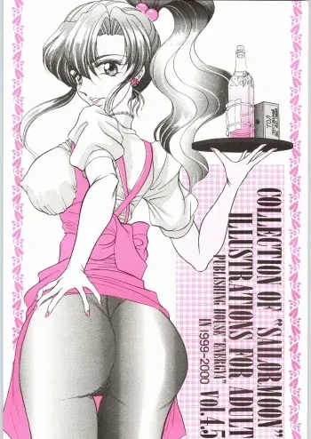 (CR27) [ENERGYA (Russia no Dassouhei)] COLLECTION OF -SAILORMOON- ILLUSTRATIONS FOR ADULT Vol. 4.5 (Bishoujo Senshi Sailor Moon) manga cover
