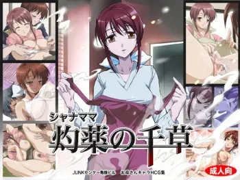 [Junk Center Kameyoko Bldg] Shana Mama Shakuyaku no Chigusa (Shakugan no Shana) manga cover