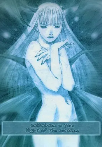 Sakkabasu no Yoru - Night of the Succubus manga cover