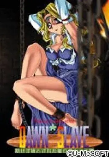 [U-Me SOFT] Dawn Slave ~Kisezu Toriko to Sareta Hime no Tokoro to Kokoro to Yoridokoro~ manga cover