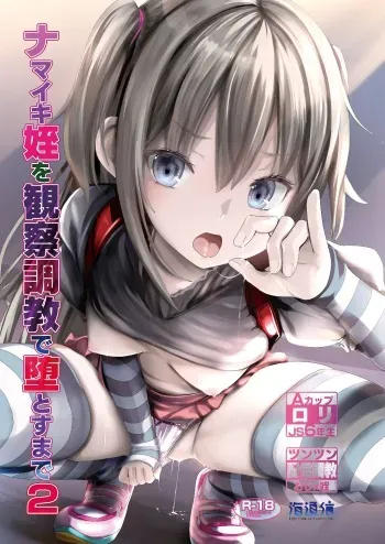 [Kaitsushin (Namamo Nanase)] Namaiki Mei o Kansatsu Choukyou de Otosu Made 2 [Digital] manga cover