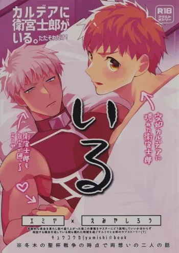 (GOOD COMIC CITY 29) [Kyuukouka (Sakamoto)] Iru (Fate/stay night) manga cover