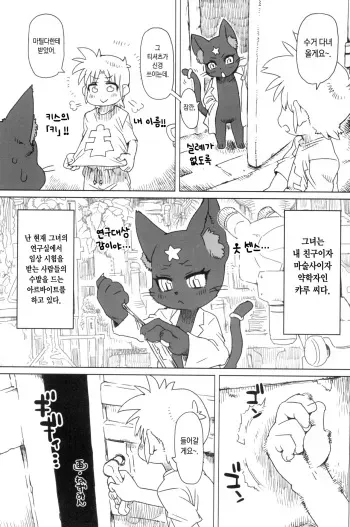 (C101) [Mayoineko (Nezumin)] Untitled (Kemokko Lovers 11) [Korean] manga cover