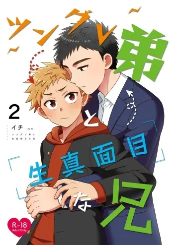 [Suita Kobara ni Choudo Ii (ichi)] Tsungure Otouto to Kimajime na Ani ２ [Digital] manga cover