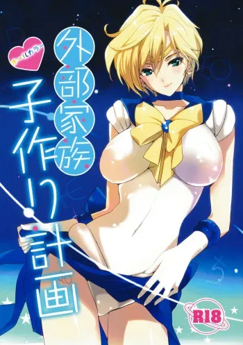 (C80) [ROUTE1 (Taira Tsukune)] Gaibu Kazoku Kozukuri Keikaku | External Family Baby-Making Plan (Bishoujo Senshi Sailor Moon) [English] {doujin-moe} manga cover