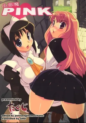 (C71) [Studio Wallaby (Takuji)] Koakuma PINK (Zero no Tsukaima) [English] [aihd] manga cover
