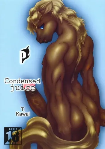 (C62) [FLASH POINT (Kawai Takahiro, Po-Ju)] Condensed juice manga cover