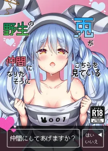 [Hachinoko P (hatigo)] Yasei no Usagi ga Nakama ni Naritasou ni Kochira o Miteiru | Wild Rabbit Is Looking At You As If It Wants To Be Friends (Usada Pekora) [English] [Lidl Translations] [Digital] manga cover