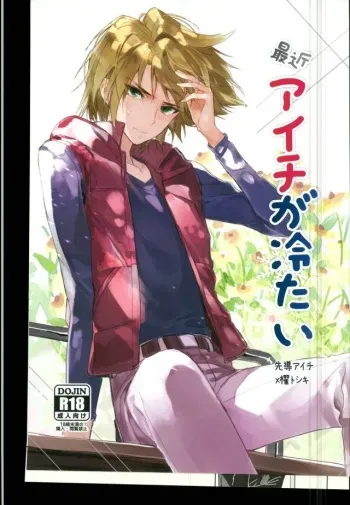 (Stand Up! 12) [Harinezumi Gohan (Akiru)] Saikin Aichi ga Tsumetai (Cardfight!! Vanguard) manga cover