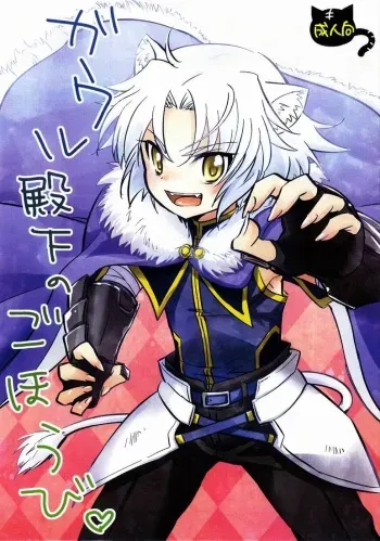 [Fuwawa (Oki no Matsushiro)] Gaul Denka no go Houbi (Dog Days) manga cover