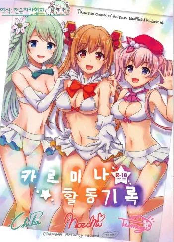 (SC2019 Summer) [fake69rose (Yanagi Asahi)] Carmina Katsudou Kiroku | 카르미나 활동기록 (Princess Connect! Re:Dive) [Korean] [전국치카협회] manga cover