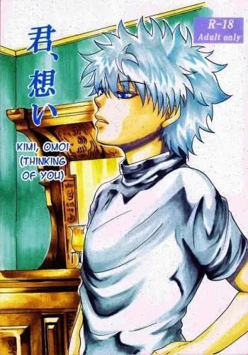 Kimi, Omoi.â€“ Hunter Ã— Hunter dj manga cover