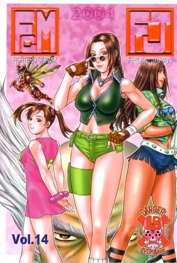 (C61) [From Japan (Aki Kyouma)] FIGHTERS GIGAMIX FGM Vol.14 (Dead or Alive) manga cover