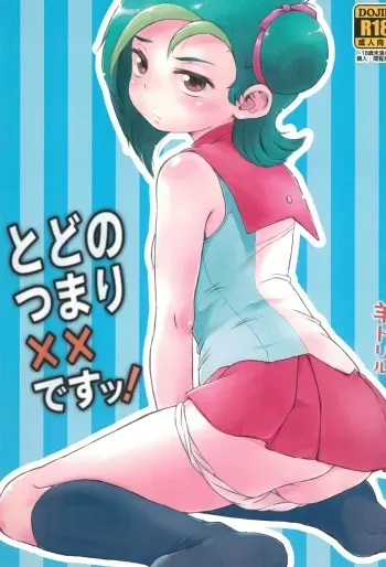 (C81) [Hitsuji Drill (Ponpon Itai)] Todo no Tsumari XX desu! (Yu-Gi-Oh! ZEXAL) manga cover