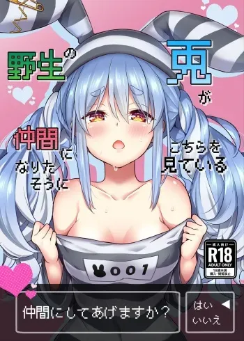 [Hachinoko P (hatigo)] Yasei no Usagi ga Nakama ni Naritasou ni Kochira o Miteiru | Wild Rabbit Is Looking At You As If It Wants To Be Friends (Usada Pekora) [English] [Semicolor] [Lidl Translations] [Digital] manga cover