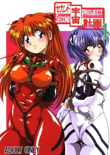 [Thirty Saver Street 2D Shooting (Maki Hideto, Sawara Kazumitsu, Yonige-ya No Kyou)] Second Uchuu Keikaku (Neon Genesis Evangelion) manga cover
