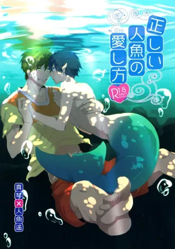 Tadashii Ningyo no Aishikata manga cover