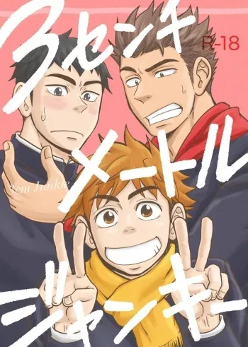 3 Centimeter Junkie manga cover