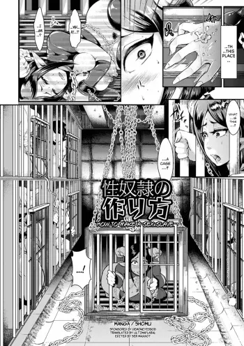[Shomu] Seidorei no Tsukurikata | How to Make a Sex Slave (Kabe ni Umekomareta Shoujo de Seiyoku Shori Vol. 2) [English] [Ultimaflaral] [Digital] manga cover