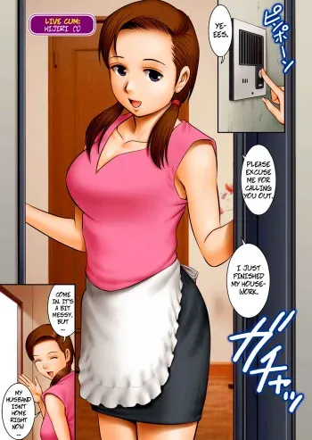 The Case of Hijiri manga cover