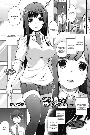 [Kaiduka] Ore wa Imouto no Sodatekata o Machigaeta Kamo (COMIC Penguin Celeb 2017-07) [Spanish] {MetamorfosiS} manga cover