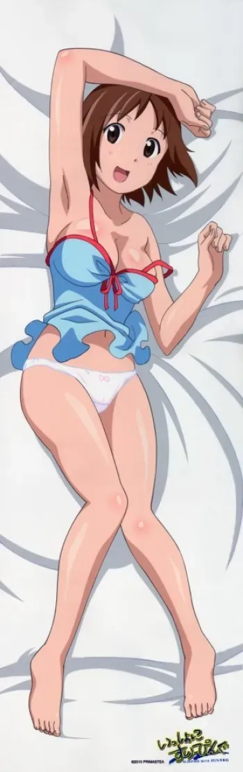 dakimakura hug pillow 11 manga cover