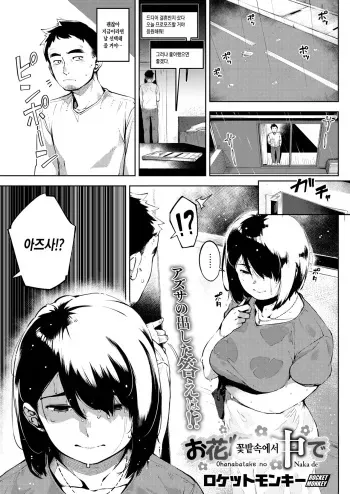 [Rocket Monkey] Ohanabatake no Naka de | 꽃밭속에서 (COMIC HOTMILK 2019-08) [Korean] [Digital] manga cover