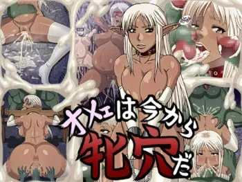 [Mani Mania] Omee wa Ima kara Mesuana da (Record of Lodoss War) manga cover