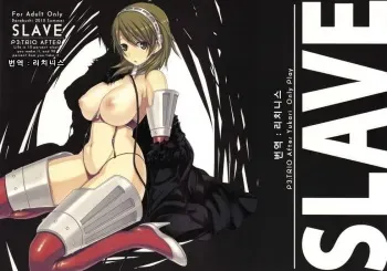 (C78) [Darabuchidou (Darabuchi)] SLAVE P3;TRIO AFTER (Persona 3) [Korean] manga cover