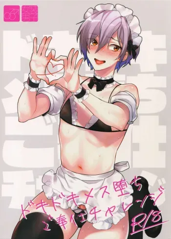 Dokidoki Mesu Ochi Gohoushi Challenge manga cover