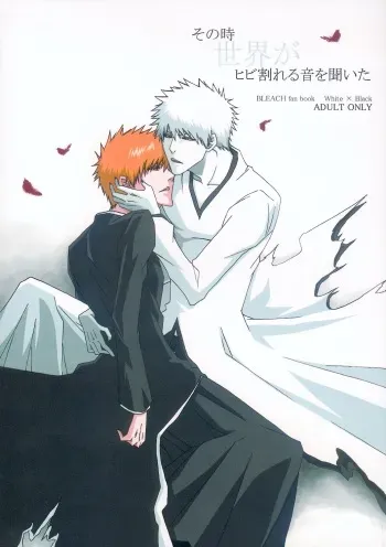 [Gyoukou (Rioka Masaki)] Sono Toki Sekai ga Hibi Wareru Oto wo Kiita (Bleach) manga cover