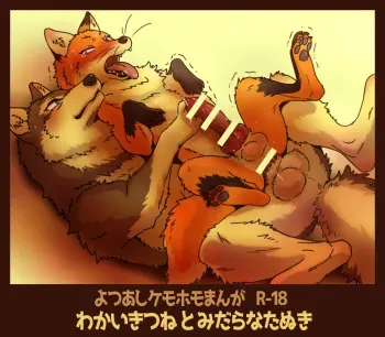 (Kansai! Kemoket 4) [Maririn] Tanuki × Kitsune manga cover