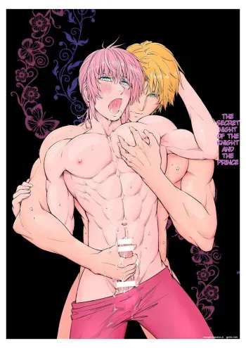 The Knight and the Prince's Secret Night manga cover