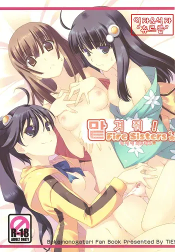 (C78) [TIES (Takei Ooki)] Makasete! FireSisters★ | 맡겨줘! 파이어시스터즈★ (Bakemonogatari) [Korean] [츄르릅] manga cover