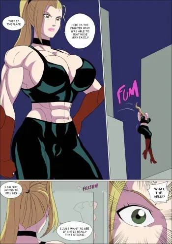 (Zetarok) Street Fighter Girls manga cover
