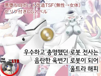 [Strange Coquetry] Yuushuu de Soumei datta Robot Senshi wa Inran Nikubenki Robo ni Natte Ultra Happy [Korean] [Team LTG] manga cover